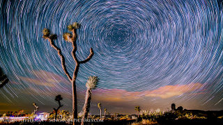 Illustration for article titled Camelopardalids over Joshua Trees